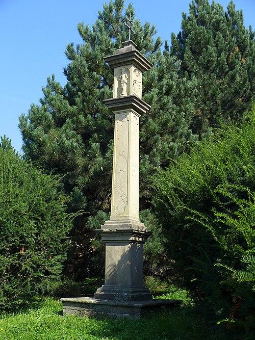 Dr Muhammad Kamran Khan